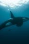 Nonton Film Earthsounds Season 1 Episode 8 Terbaru